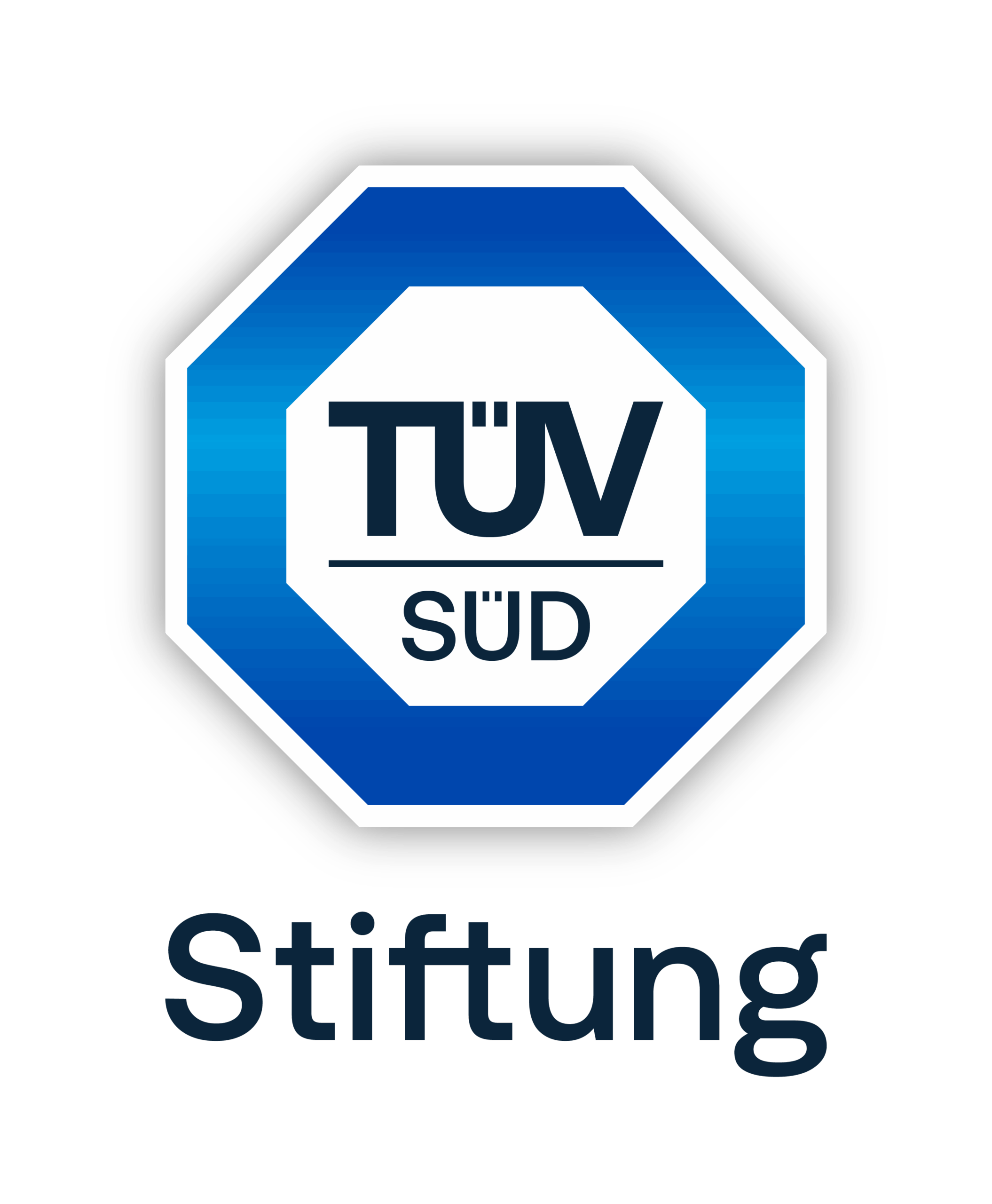 Logo: TÜV SÜD Stiftung